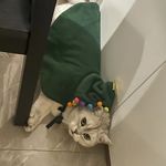 喧哗猎人