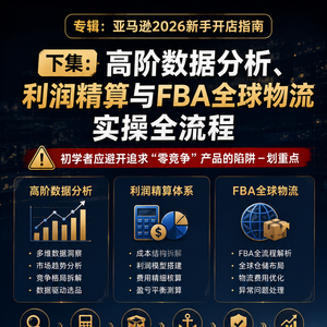 数据分析利润精算与FBA全球物流实操全流程