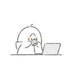 晚楠寒