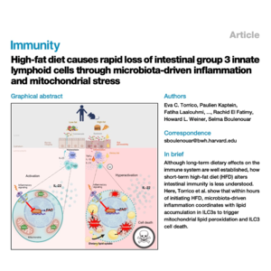 800-高脂饮食诱导肠道ILC3细胞死亡机制研究