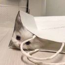 meow_dE6W