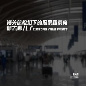 vol.291 海关旅检扣下的瓜果蔬菜肉都去哪儿了？