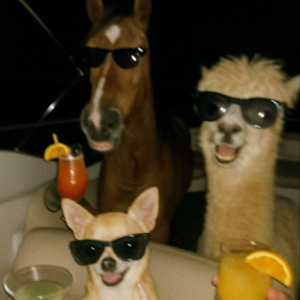 174 2025收官问答