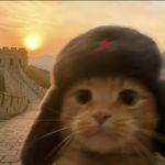 小z不熬夜