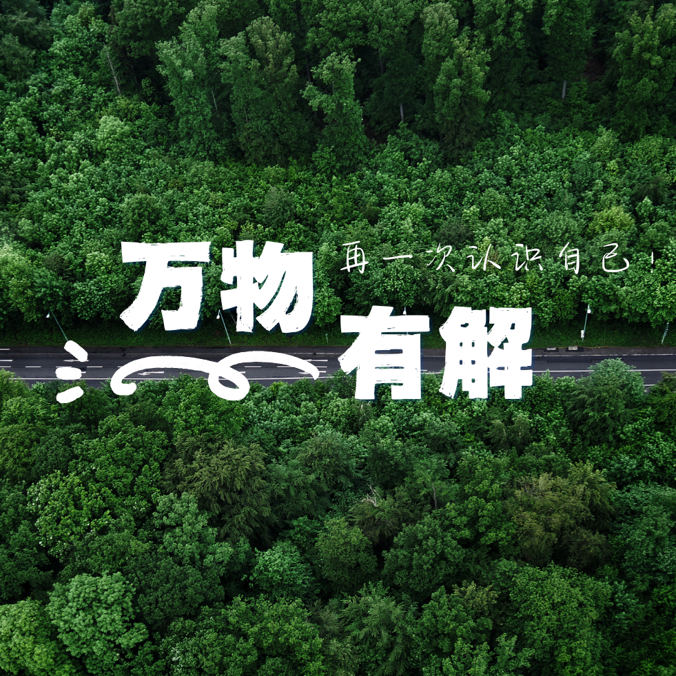 远程工作，和你想的不一样 episode artwork