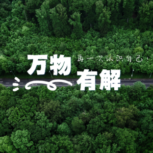 远程工作，和你想的不一样