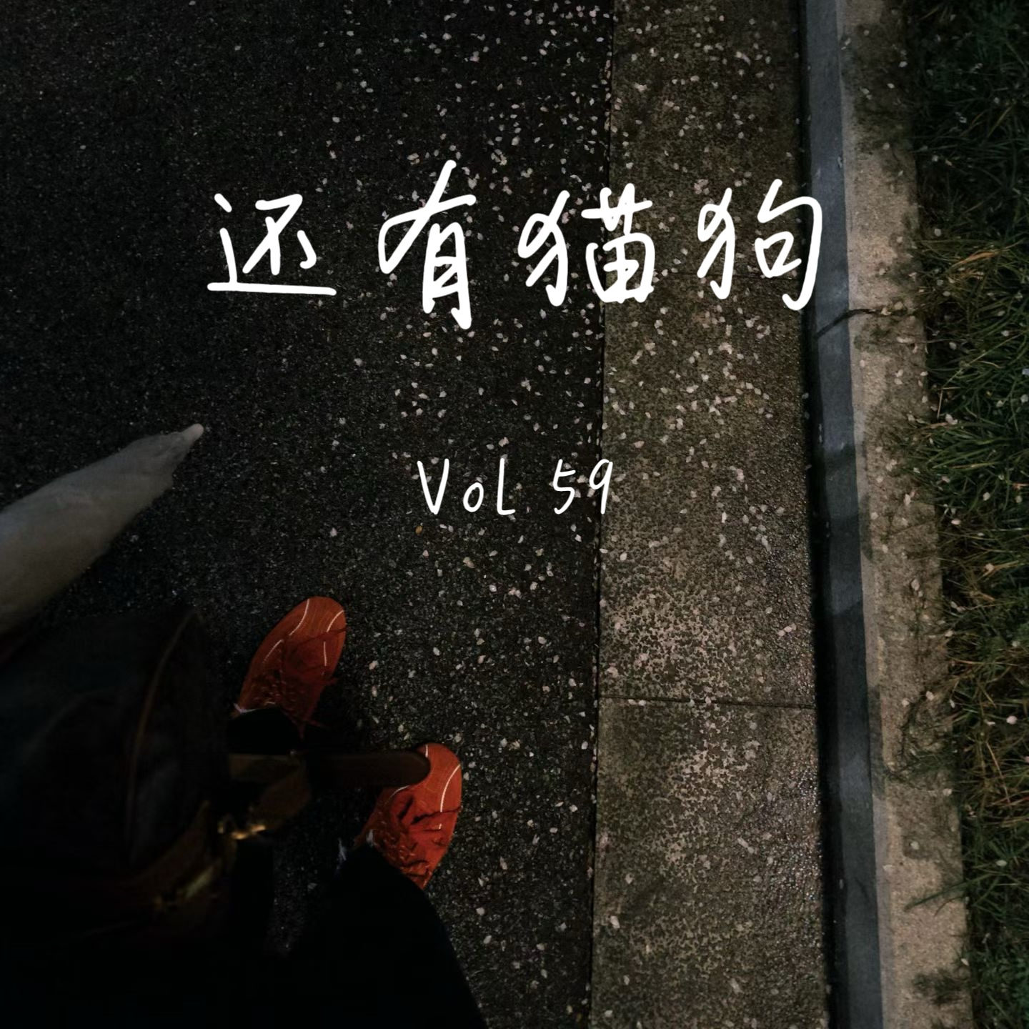 59 为什么我不再兴奋于赞美？ episode artwork