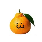 寄耙耙柑给你吃哦