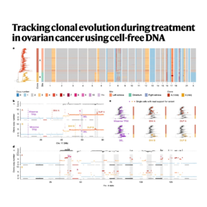 138-Clonal Evolution in Ovarian Cancer Drug Resistance