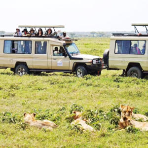 29 在东非大草原,我想和动物们看每一次日落