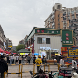 14、南京托乐嘉美食街麦乐鸡碎尸案：贪财好色