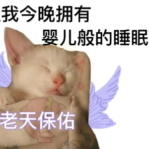 vol.63 如何拥有一夜好眠，事半功倍地提高睡眠质量（浓缩精华版）