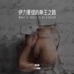 vol.183 伊力夏提的拳王之路