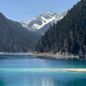 050 啊，我又活过来啦！