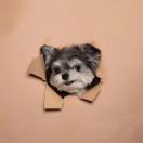 我与我周旋久久