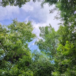 podcaster-avatar