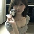 小猫懒