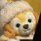 猫逃没回就是在忙