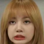 Dameinvn