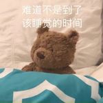 熊一只加二