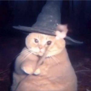 第八单元：20世纪20年代的音乐