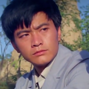 66 “穷人不害病，就是走大运”——不够“于连”的农村青年到城里去？