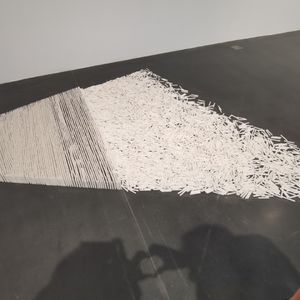 反本质主义Anti-Essentialism