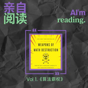 Vol 1. 亲自阅读《算法霸权》