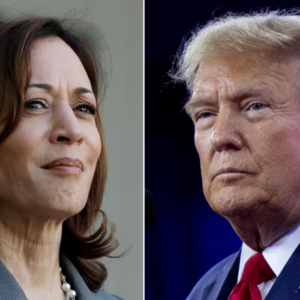 语商之学者访谈-38 谢韬/美国大选/现场观察/特朗普化