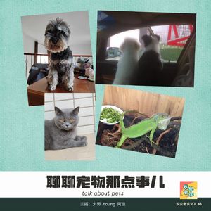 VOL.43 宠物都是小精灵，一闪一闪放光明