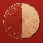 26.有点东西｜丙午这把火还要怎么烧？2026中西玄视角的年中复盘