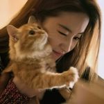 小王子的星辰梦