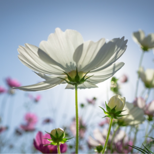 EP04 商品市场拥挤度