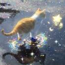 狂野淑女沈眉庄allow