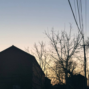 #new jams 2601：我们都是孤独的