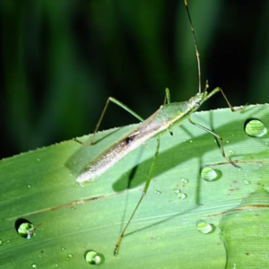 Vol.42 夏日即将下线:还好我没错过生蚝、碎碎冰和live house