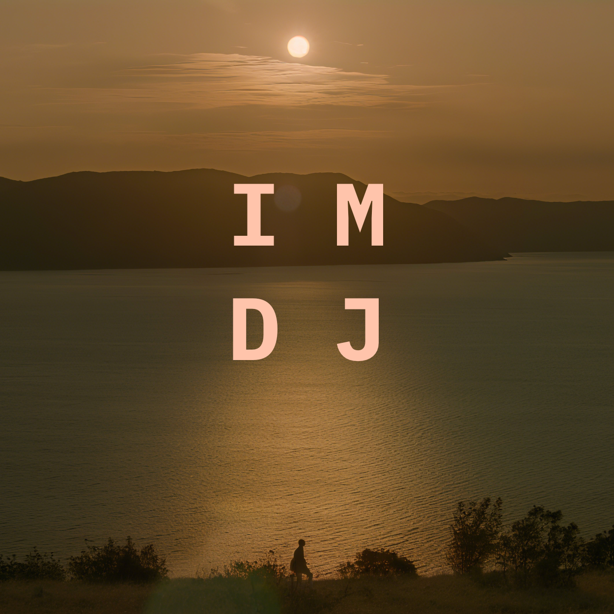 新博客 IMDJ E2501,胡乱播放音乐,轻松订阅