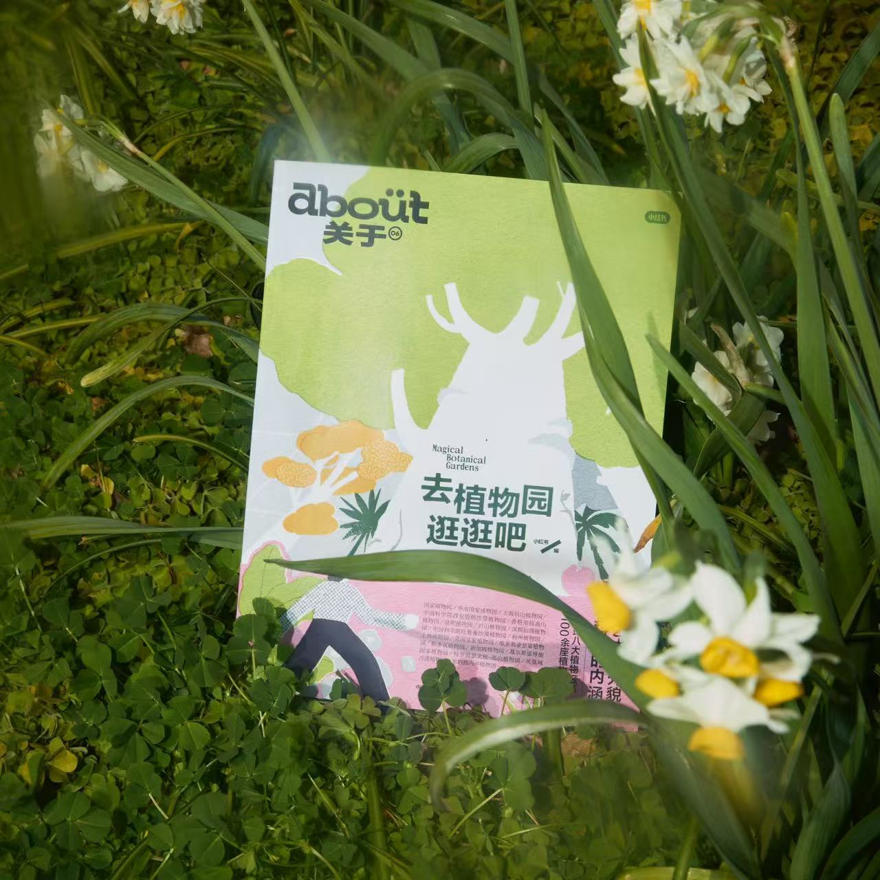 cover of episode 一去植物园就幸福，why？｜034植物园