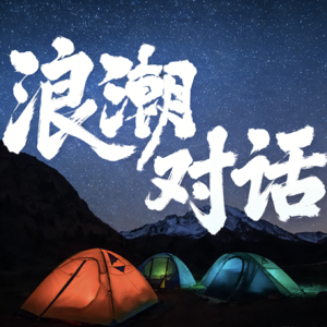 浪潮对话