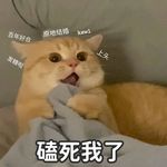 听听他们说什么呢