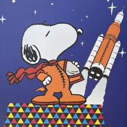 地球玩家指北🌍