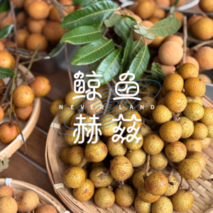 Vol.278 用龙眼做桂圆？北方人都听不懂了