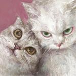 读不懂也不想看