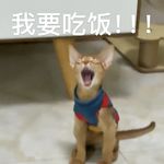 给你添麻薯了