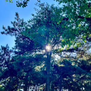 001时间的起点——大爆炸与宇宙的第一缕光