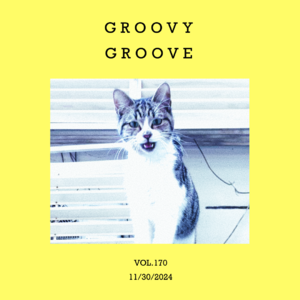 vol.170:整点经典groove!