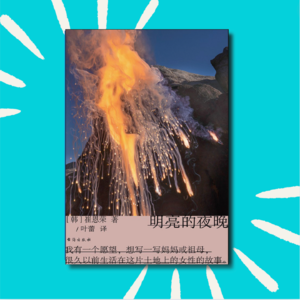 115 30岁，人生陷入低谷，我决定活的更真实!｜《明亮的夜晚》读书分享