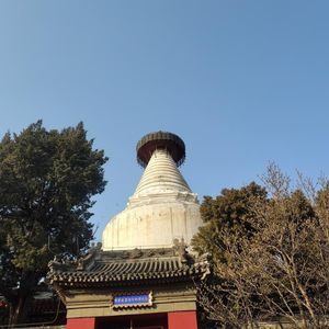 《佐贺的超级阿嬷》岛田洋七