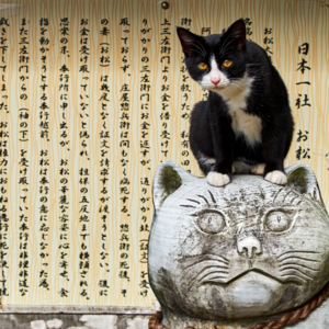 日自民党总裁选举的“九子夺嫡”