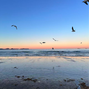 第87期：身处裁员浪潮的我正在经历一个时代的变迁